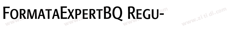 FormataExpertBQ Regu字体转换